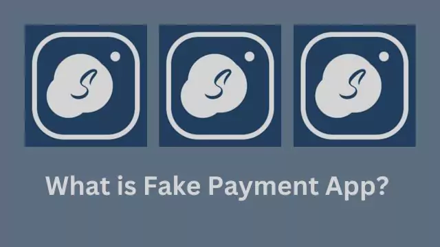 What is Fake Payment App